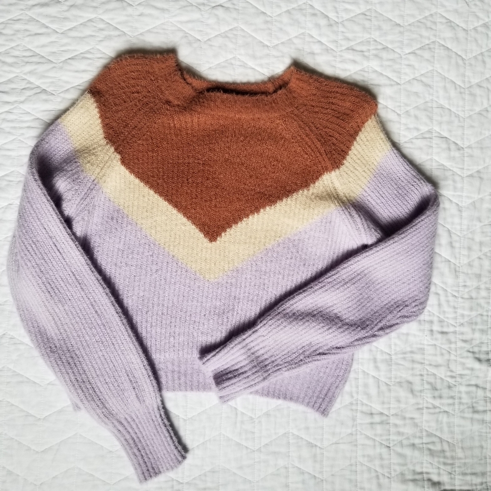 ✨LA Hearts Purple and Brown Cropped Seeater